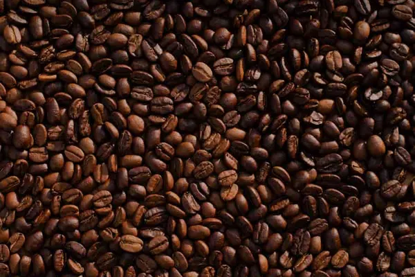 Brio Coffeeworks - Ethiopia Shakisso