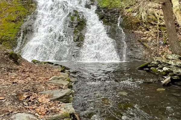 Muckross State Park