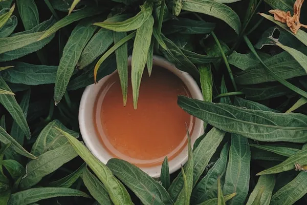 Adagio Teas - Advent Calendar 2025 (teabags)